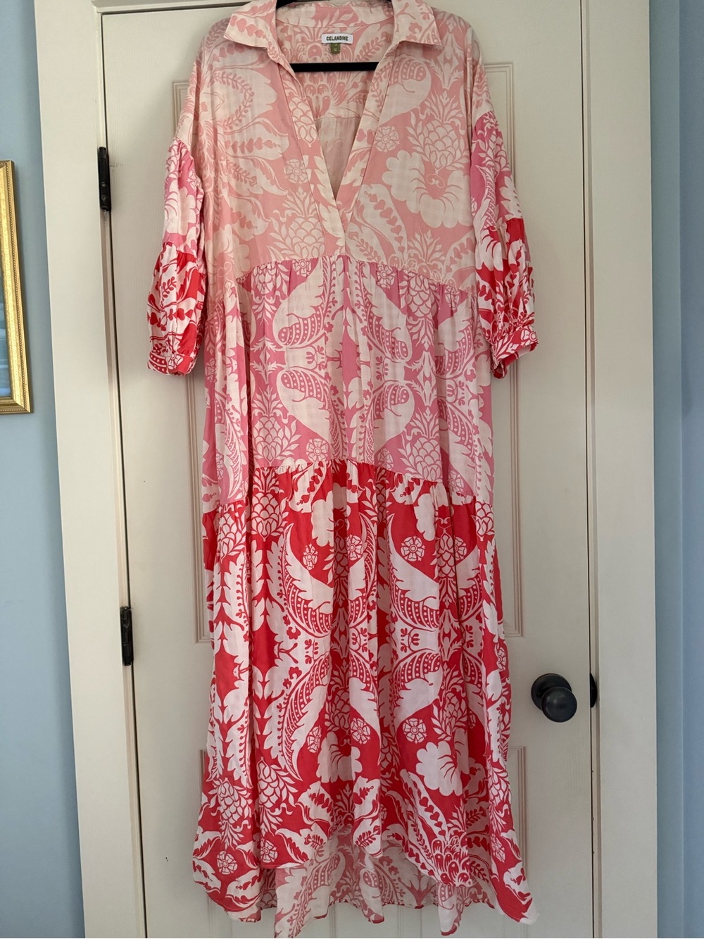 Anthropologie Celadine Pink & Red Floral Tiered Maxi Dress